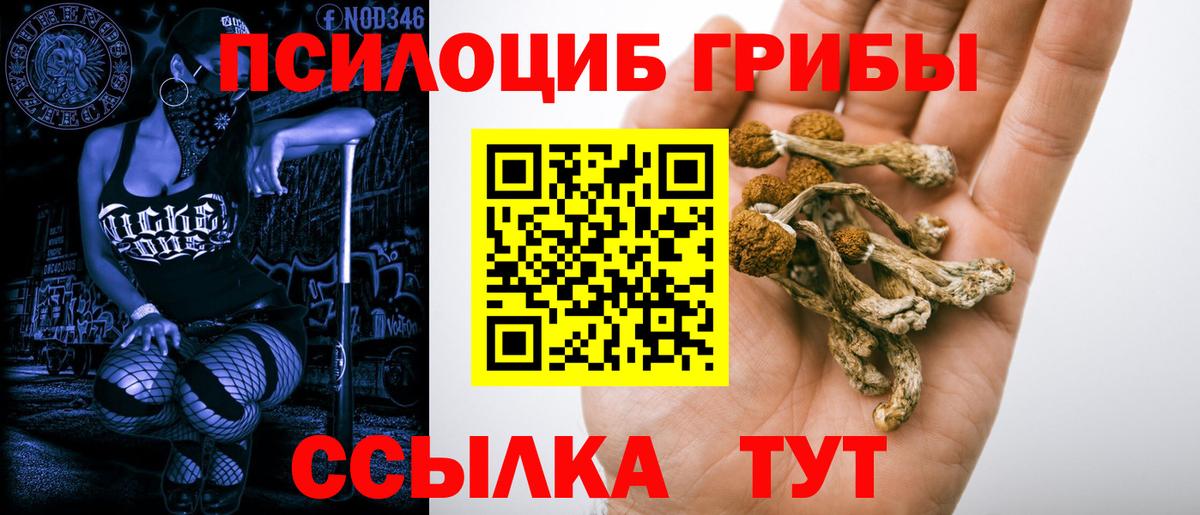 Псилоцибиновые грибы Cubensis  Псилоцибиновые грибы GOLDEN TEACHER  Соликамск  Вход с VPN 