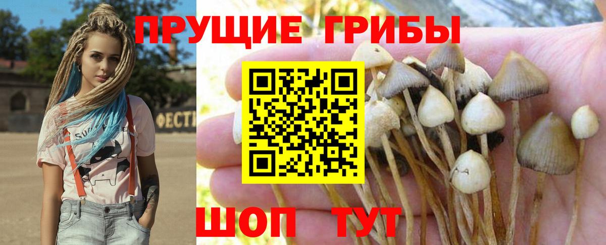 Псилоцибиновые грибы Cubensis Соликамск